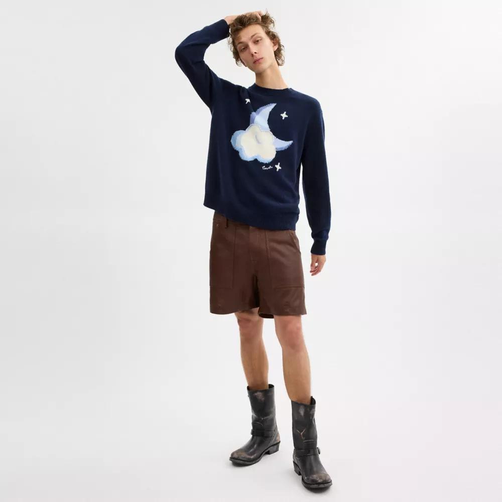 Graphic Intarsia Crewneck Sweater Product Image