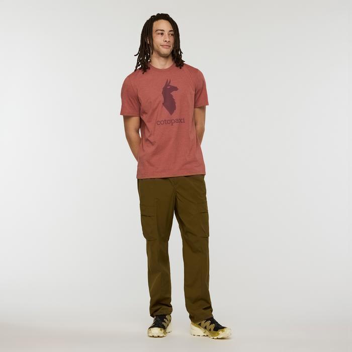 Cotopaxi Llama T-Shirt - Men's Product Image