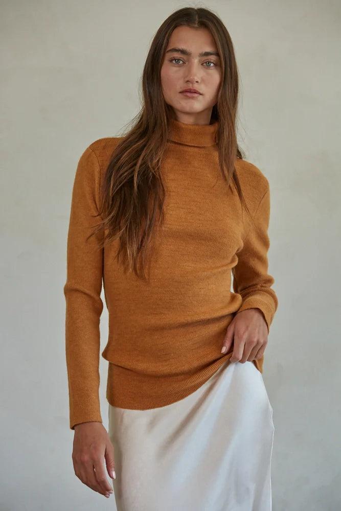 Knit Sweater Turtle Neck Product Image