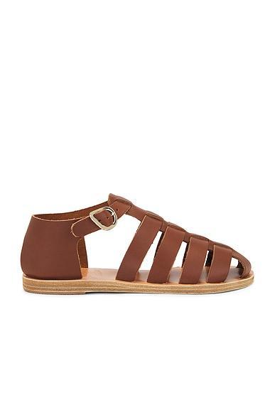 Homeria Sandal Product Image