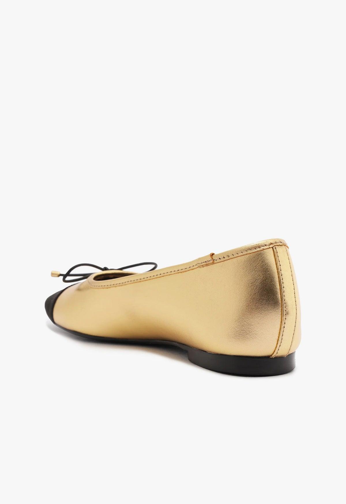 Arissa Metallic Leather Flat Product Image