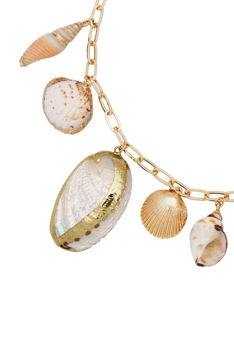 COLLIER PRIVATE ISLAND ASSORTED SHELL Product Image