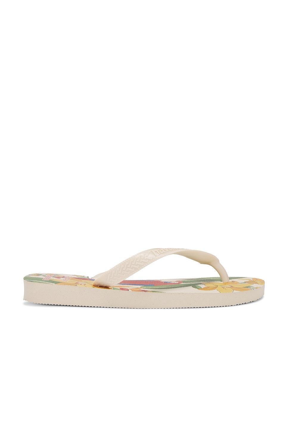 Farm Rio Parrot and Floral Sandal Havaianas Product Image