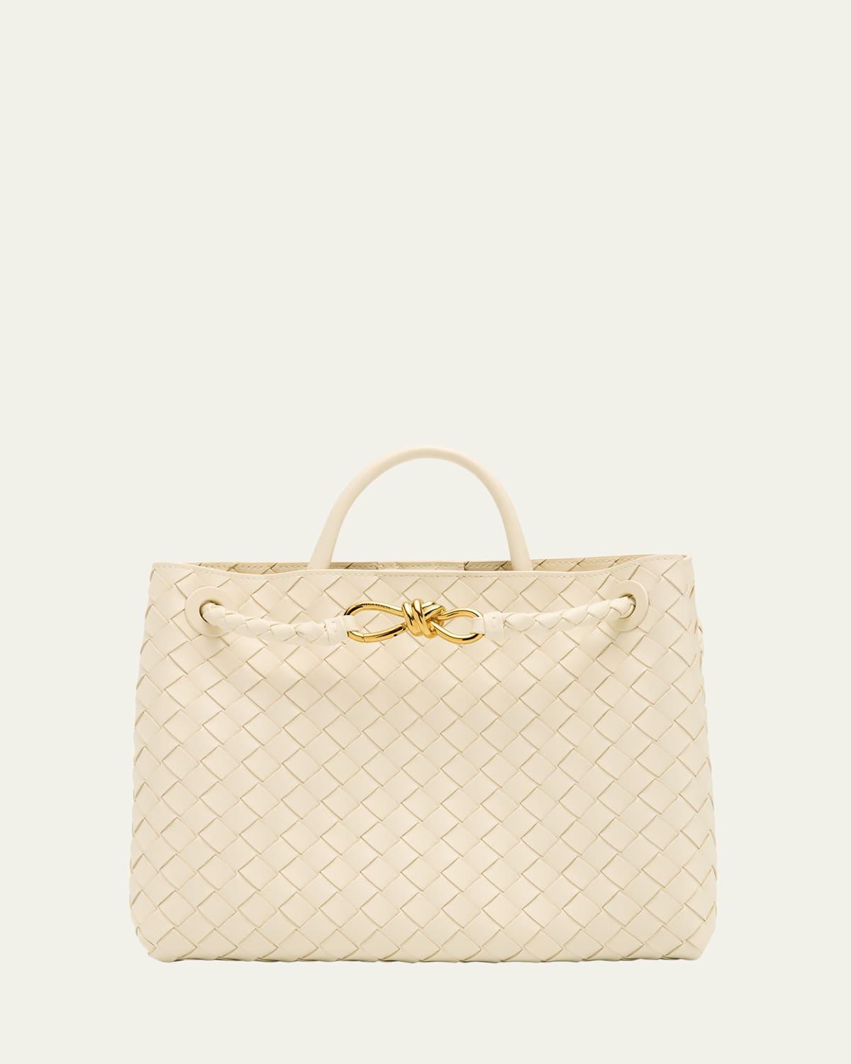 Medium Andiamo Bag Product Image