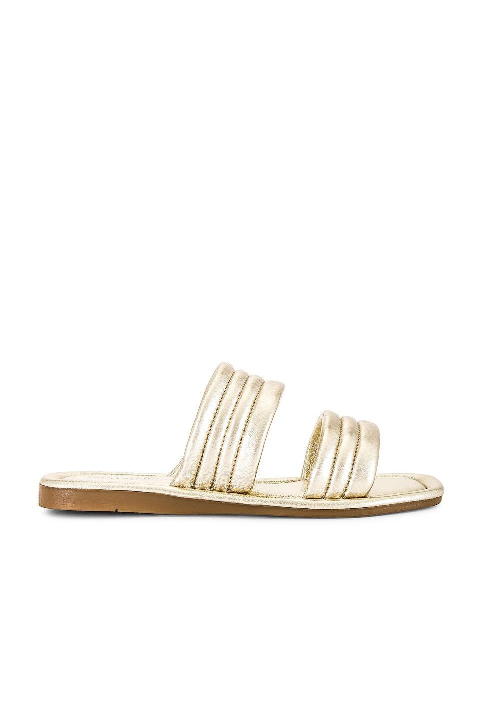 Cape May Sandal Seychelles Product Image