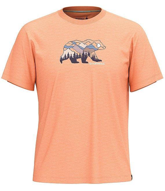 SmartWool Bear View Graphic Short Sleeve T-Shirt Product Image