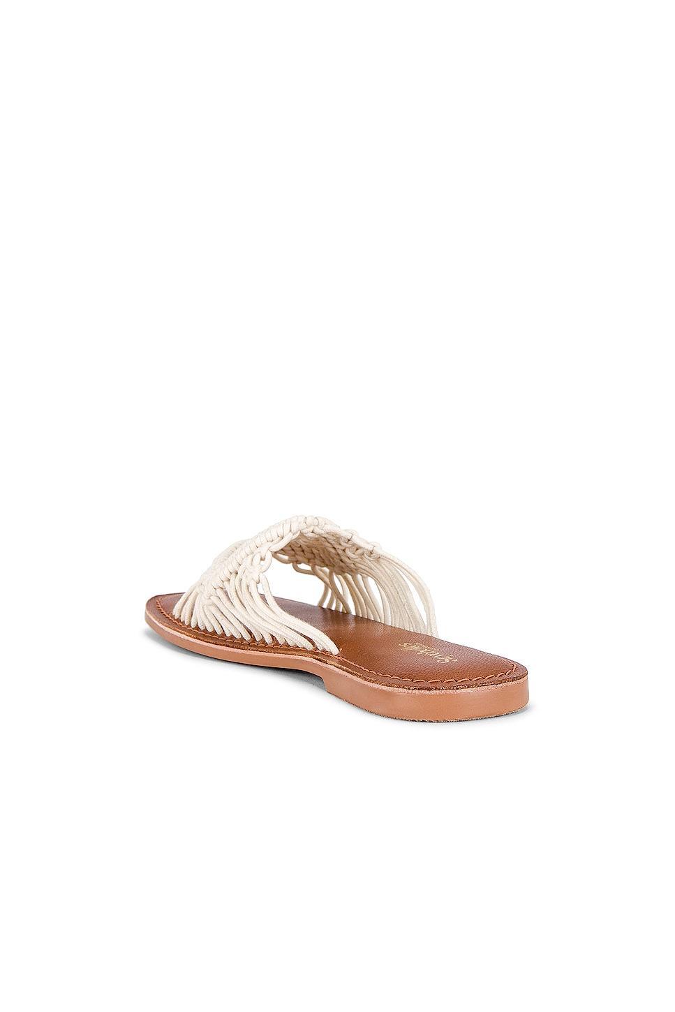 Mahogany Sandal Seychelles Product Image