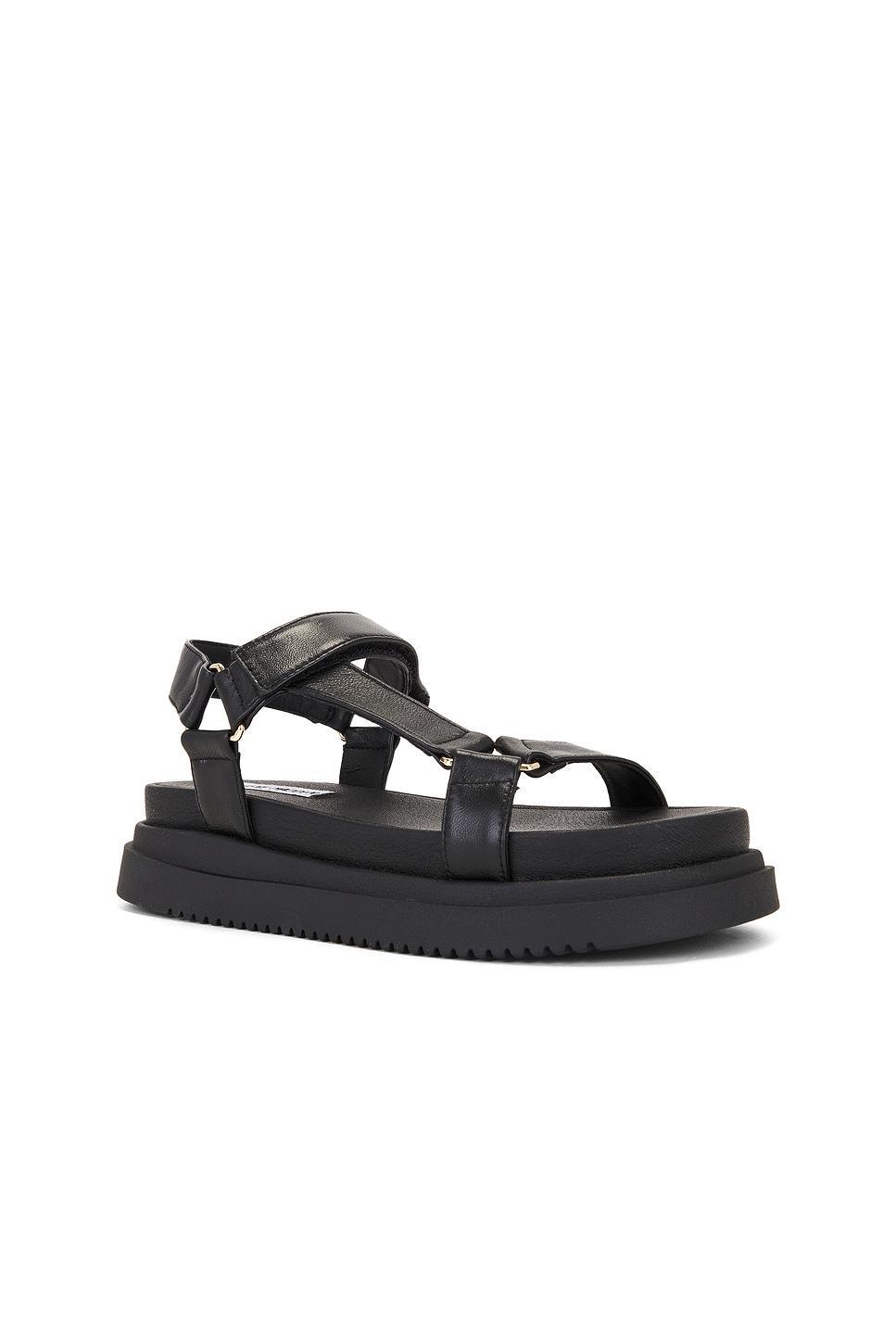 Matina Sandal Steve Madden Product Image