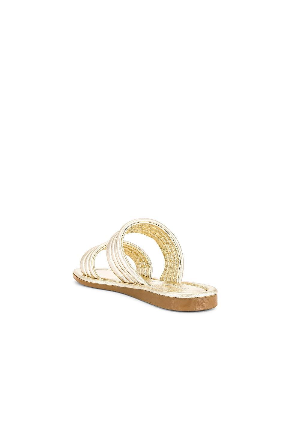Cape May Sandal Seychelles Product Image