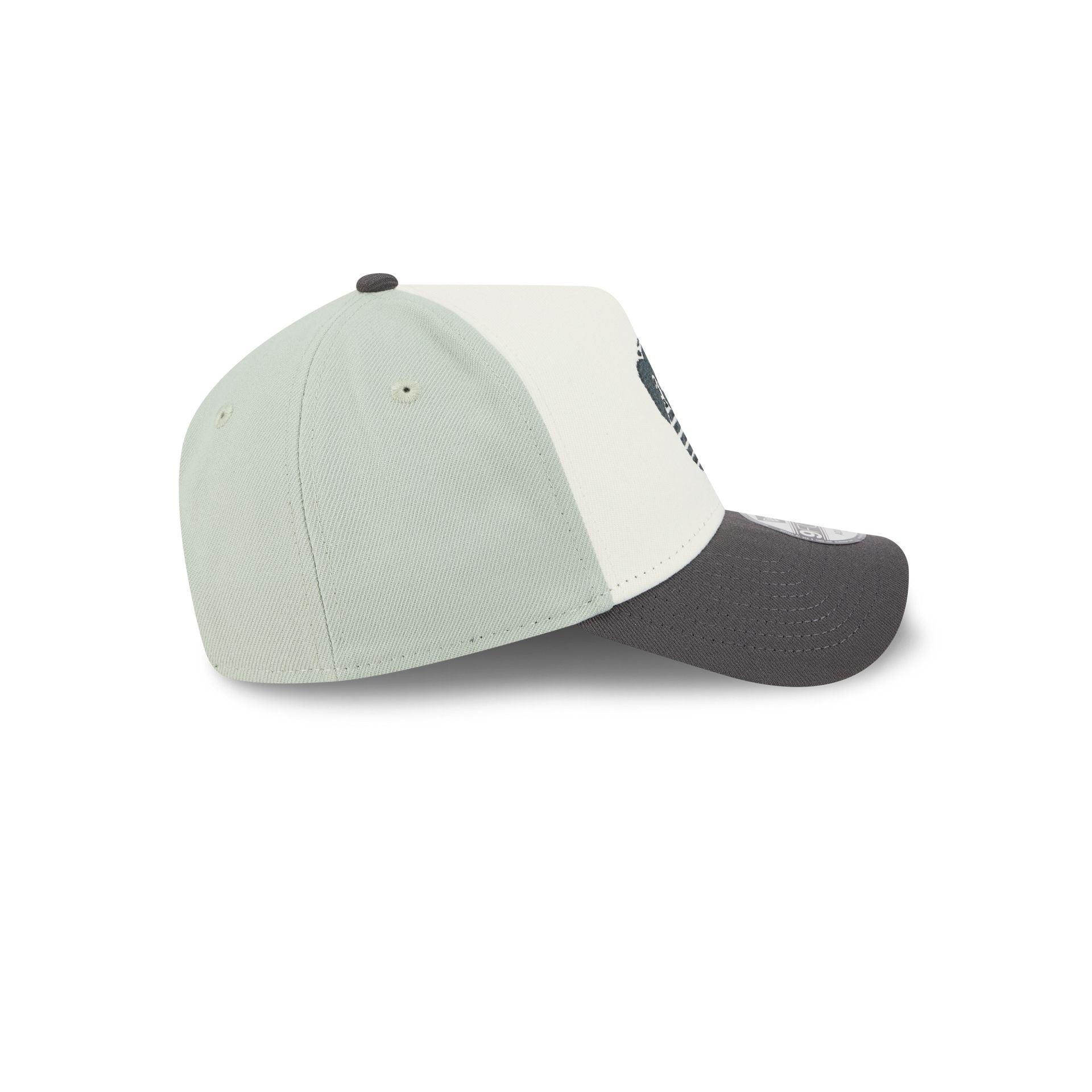 Diablos Rojos del México Mint 9FORTY A-Frame Snapback Hat Male Product Image