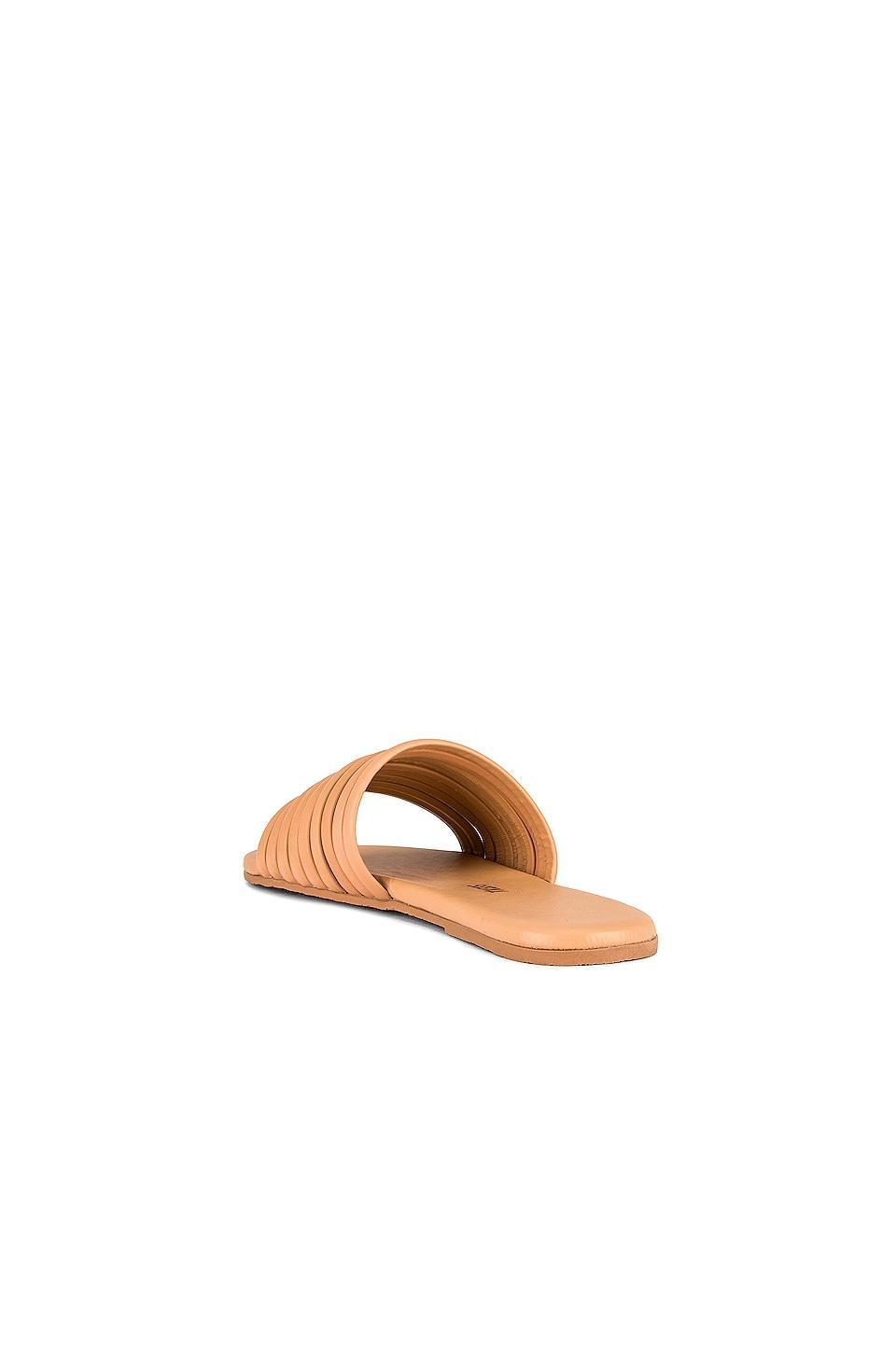 Caro Sandal TKEES Product Image