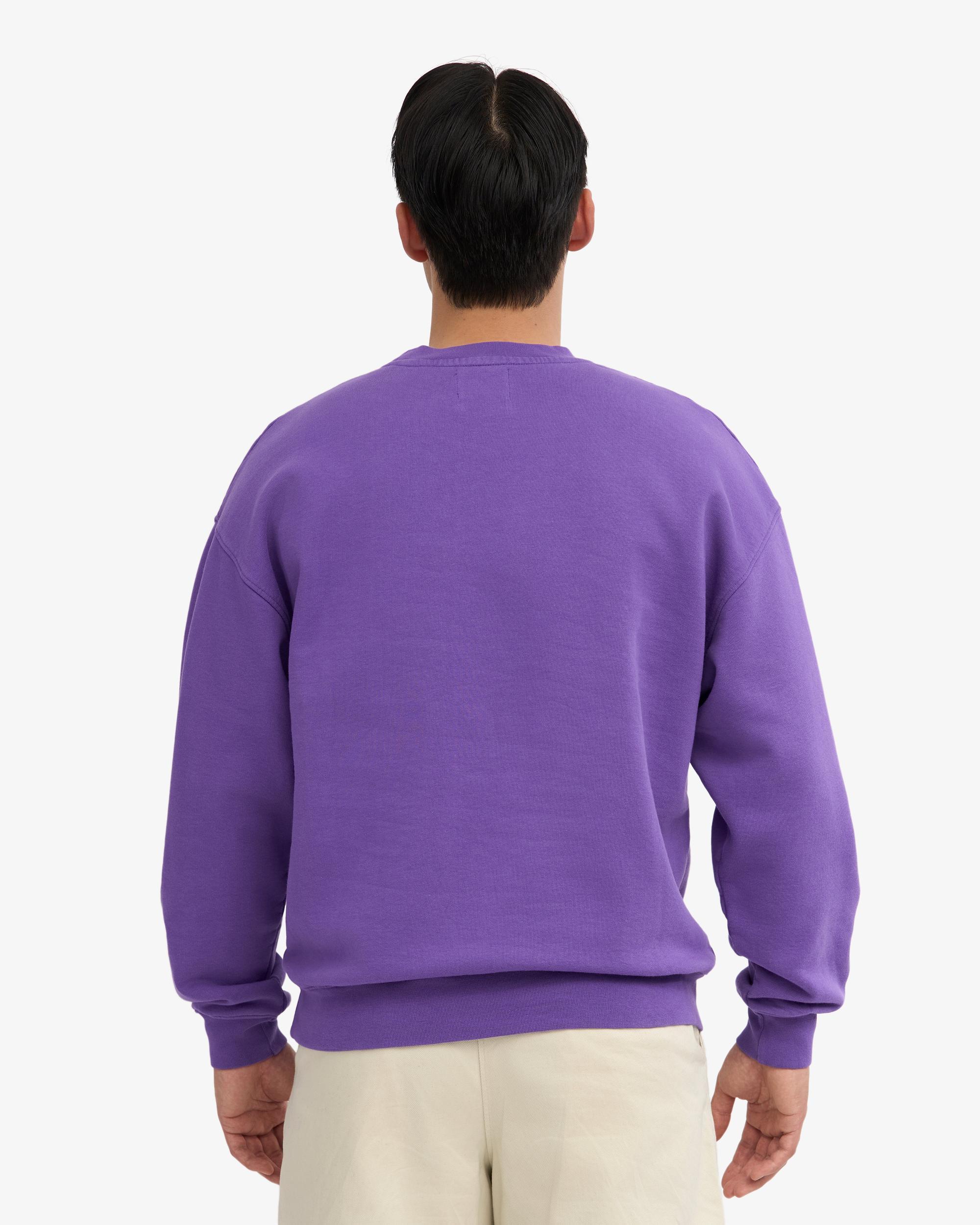 Organic Oversized Crew - Sahara Camel Product Image