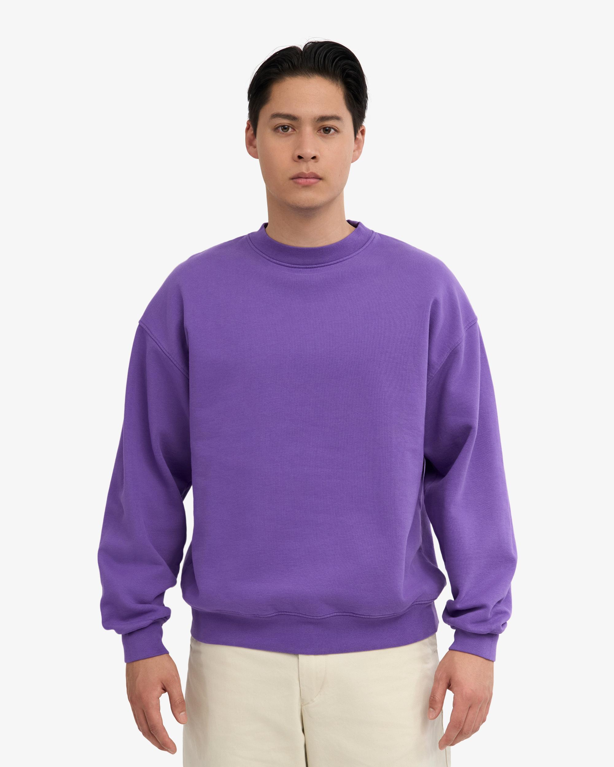 Organic Oversized Crew - Sahara Camel Product Image