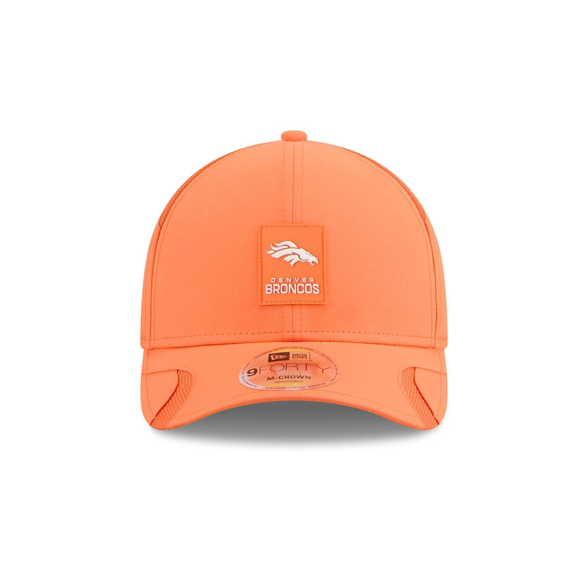 Florida State Seminoles Team 9FORTY M-Crown Snapback Hat Male Product Image