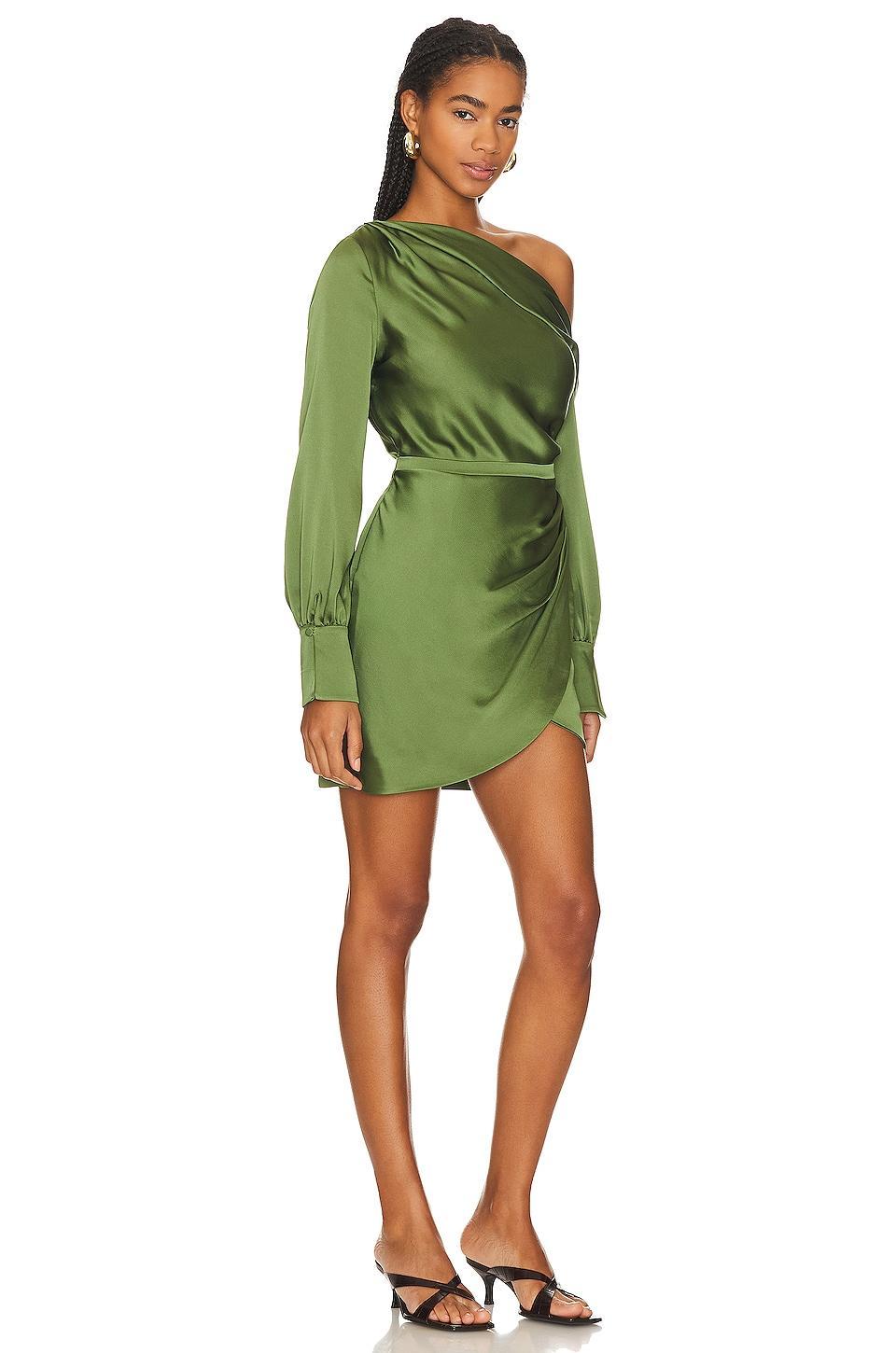 Cameron One Shoulder Dress SIMKHAI Product Image