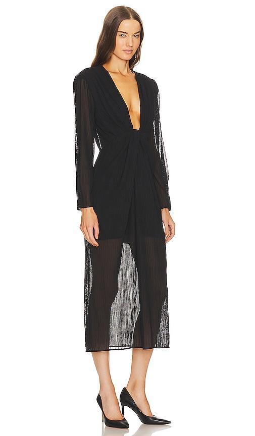 IRO Alofi Dress in Wine Product Image