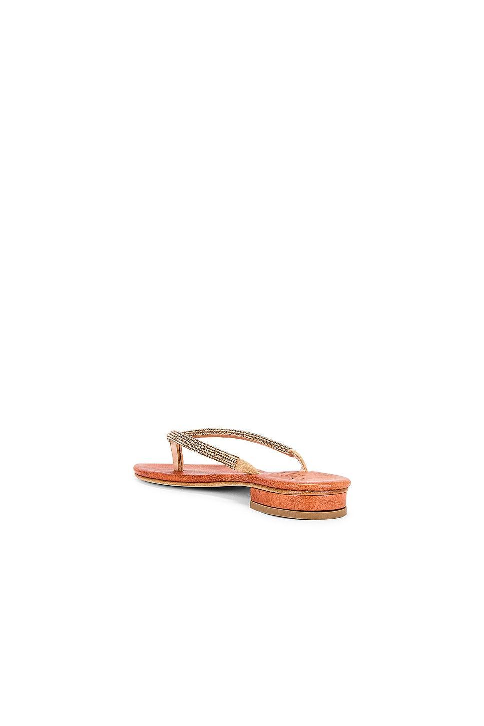 Pogliano Sandal CoRNETTI Product Image