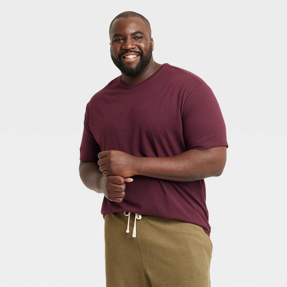 Mens Big & Tall Every Wear Short Sleeve V-Neck T-Shirt - Goodfellow & Co Pom Mystery 3XL Product Image