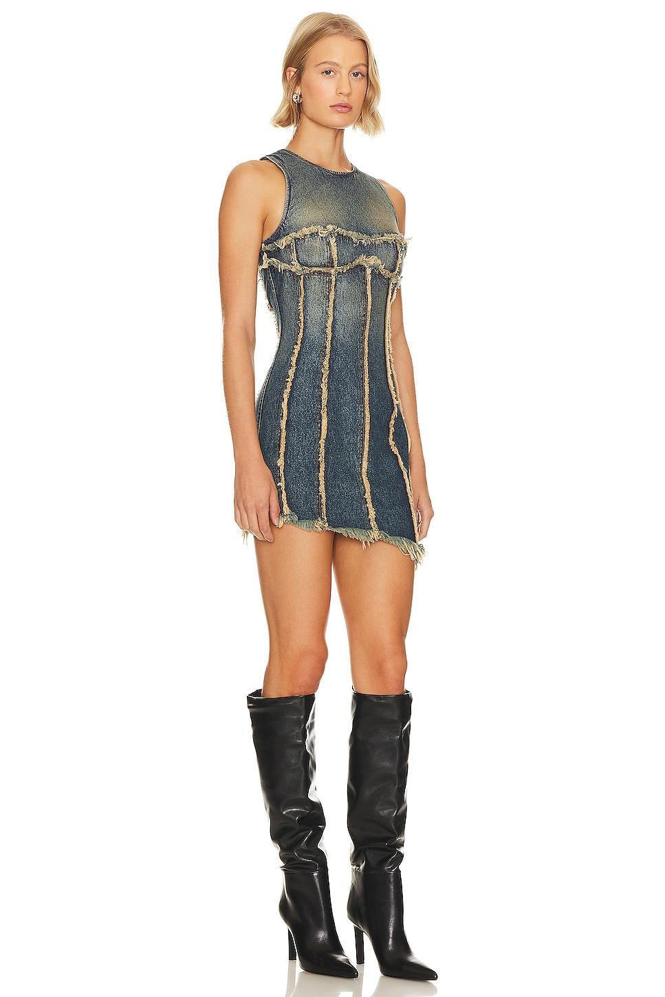 Aviva Mini Dress Product Image