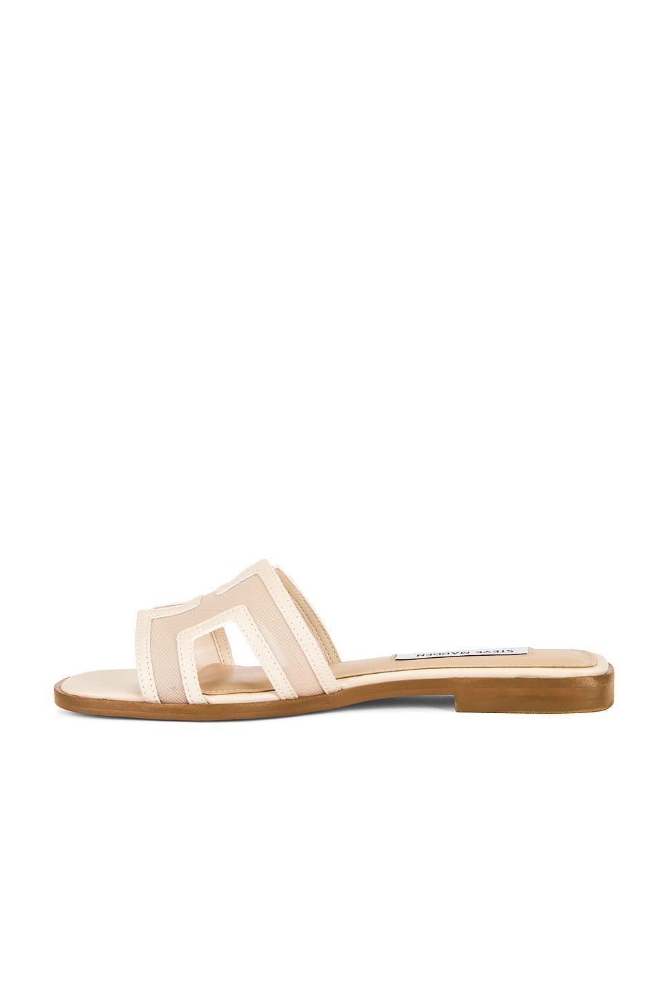 Hadyn Mesh Sandal Steve Madden Product Image