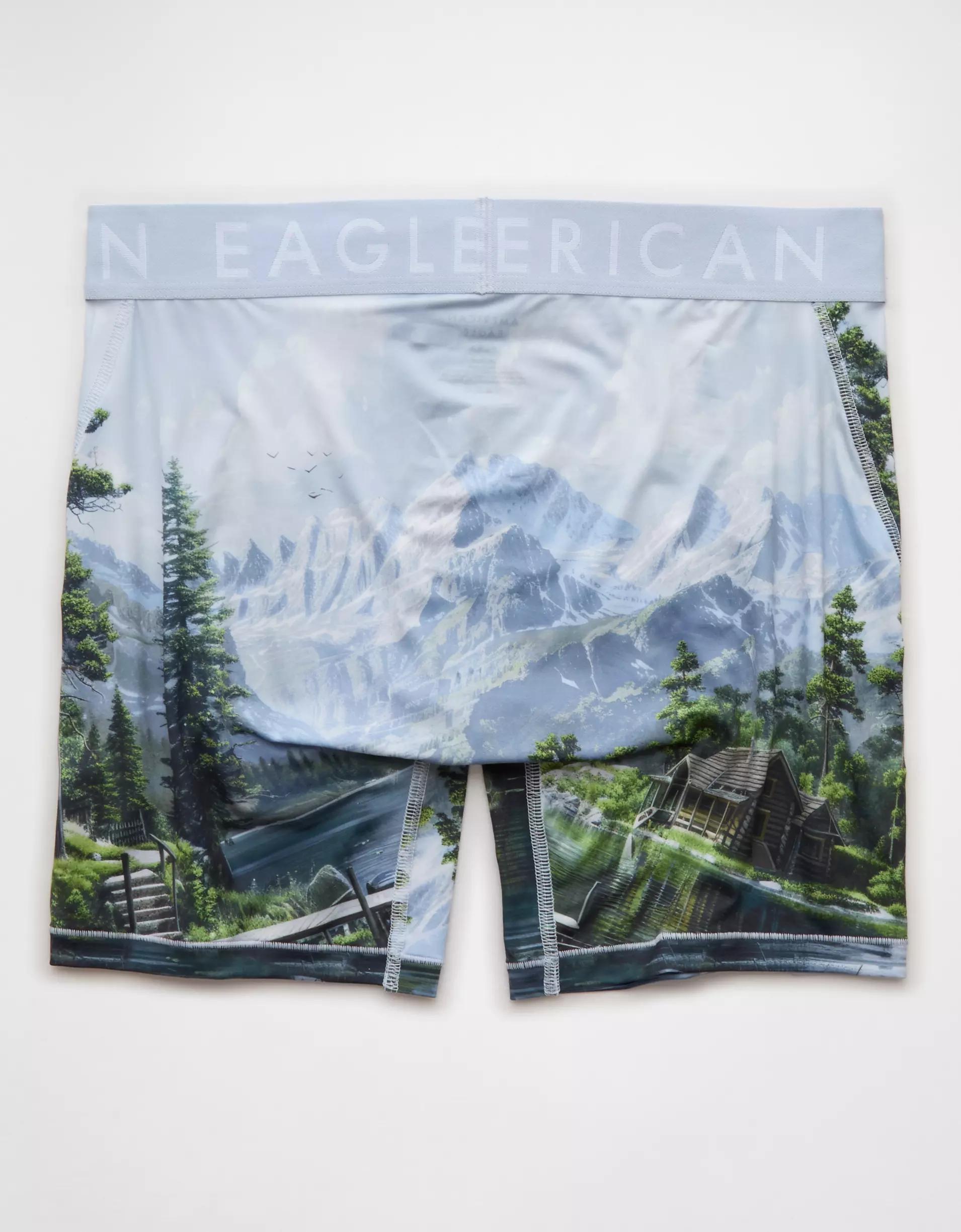 AEO Men's Lake 6" Flex Boxer Brief Product Image