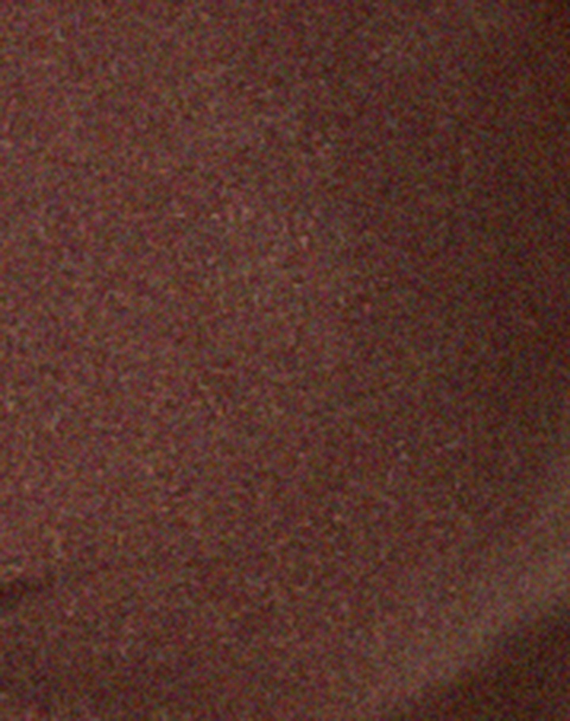 Leyna Bikini Bottom in Shimmer Brown Product Image