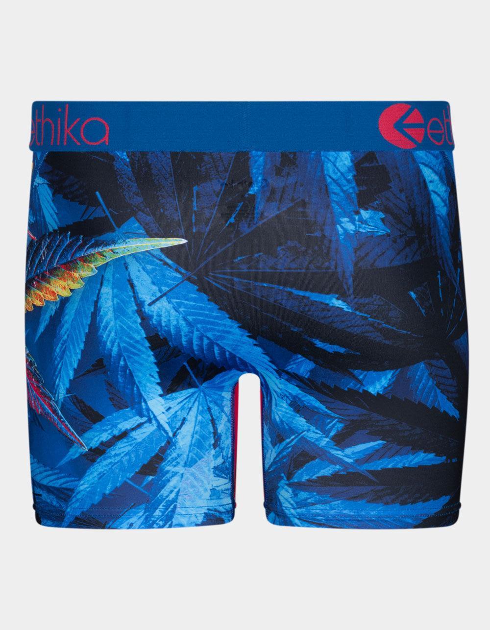 ETHIKA Exotica Mens Mid Boxer Briefs - BLUE COMBO Product Image