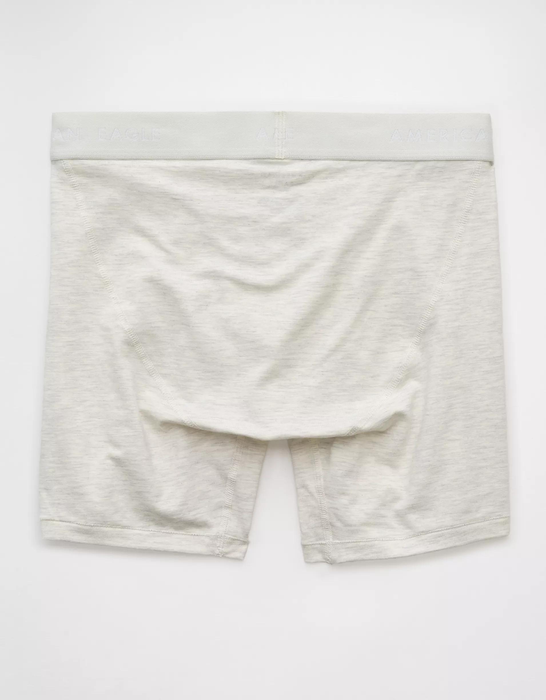 AEO Men's 6" Classic Boxer Brief Product Image