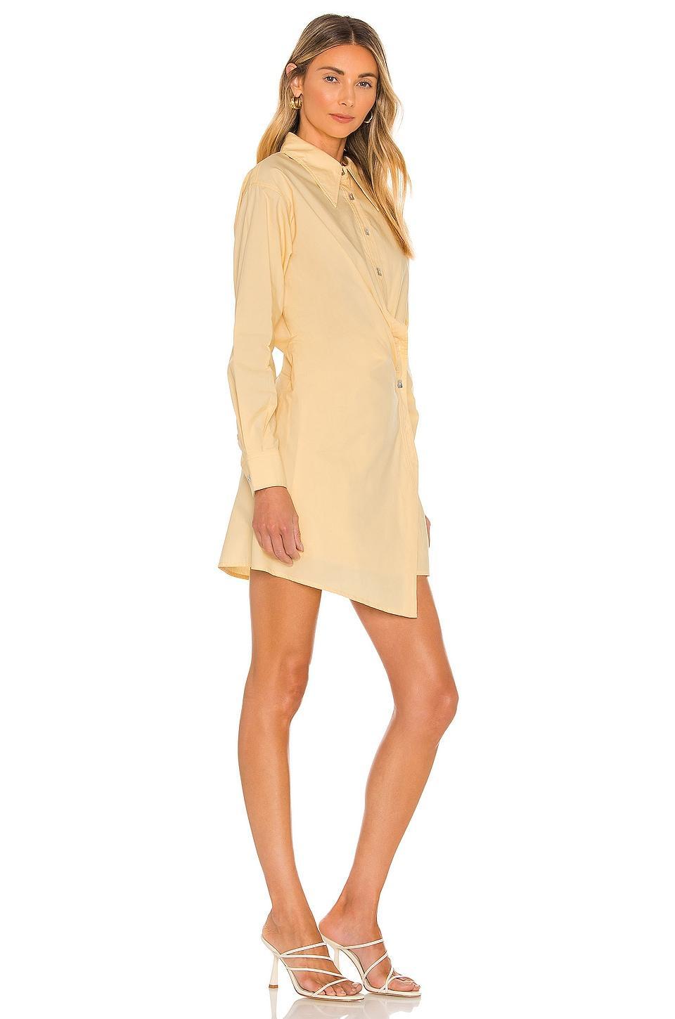 Kaia Mini Dress Product Image