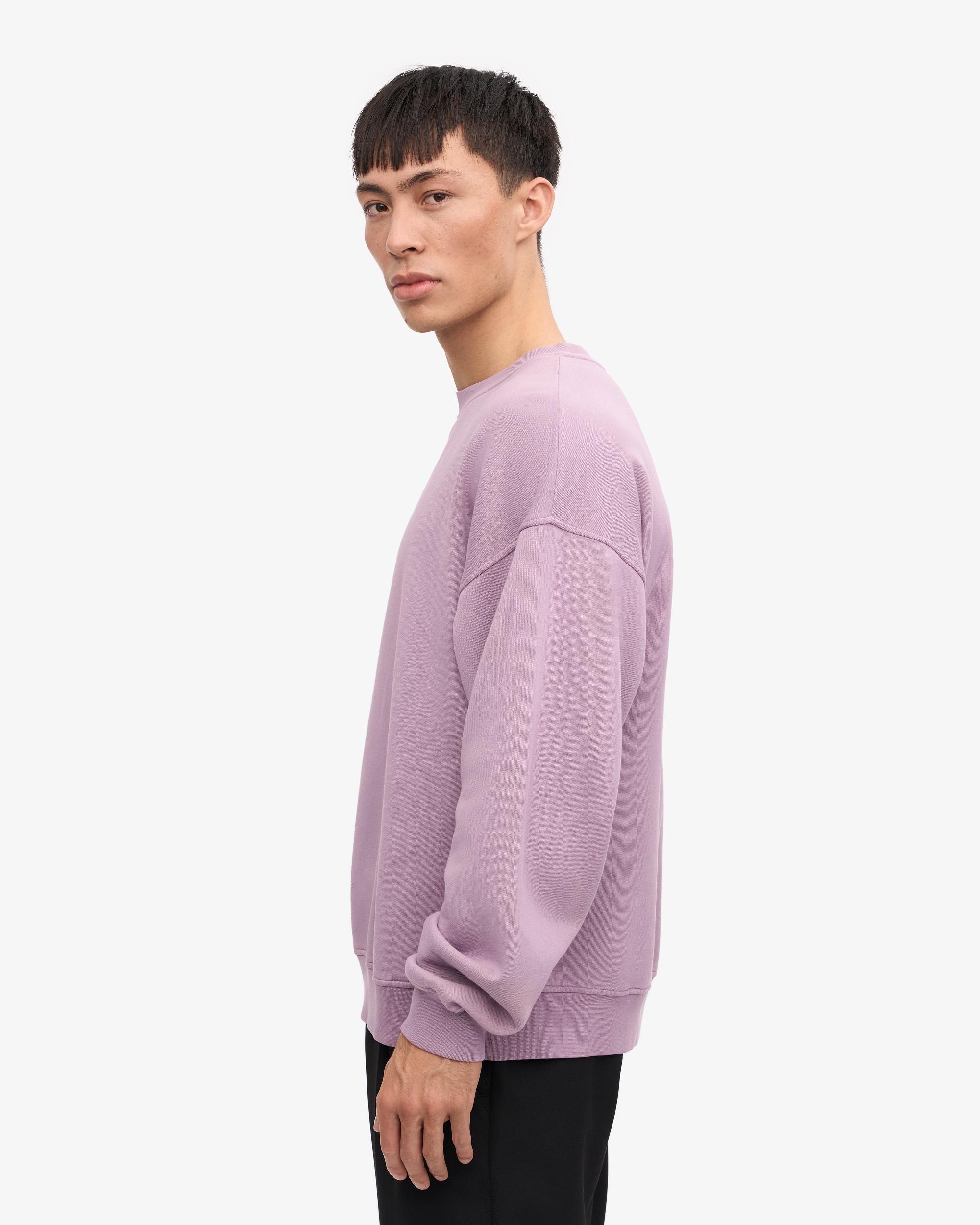 Organic Oversized Crew - Seaside Blue Product Image
