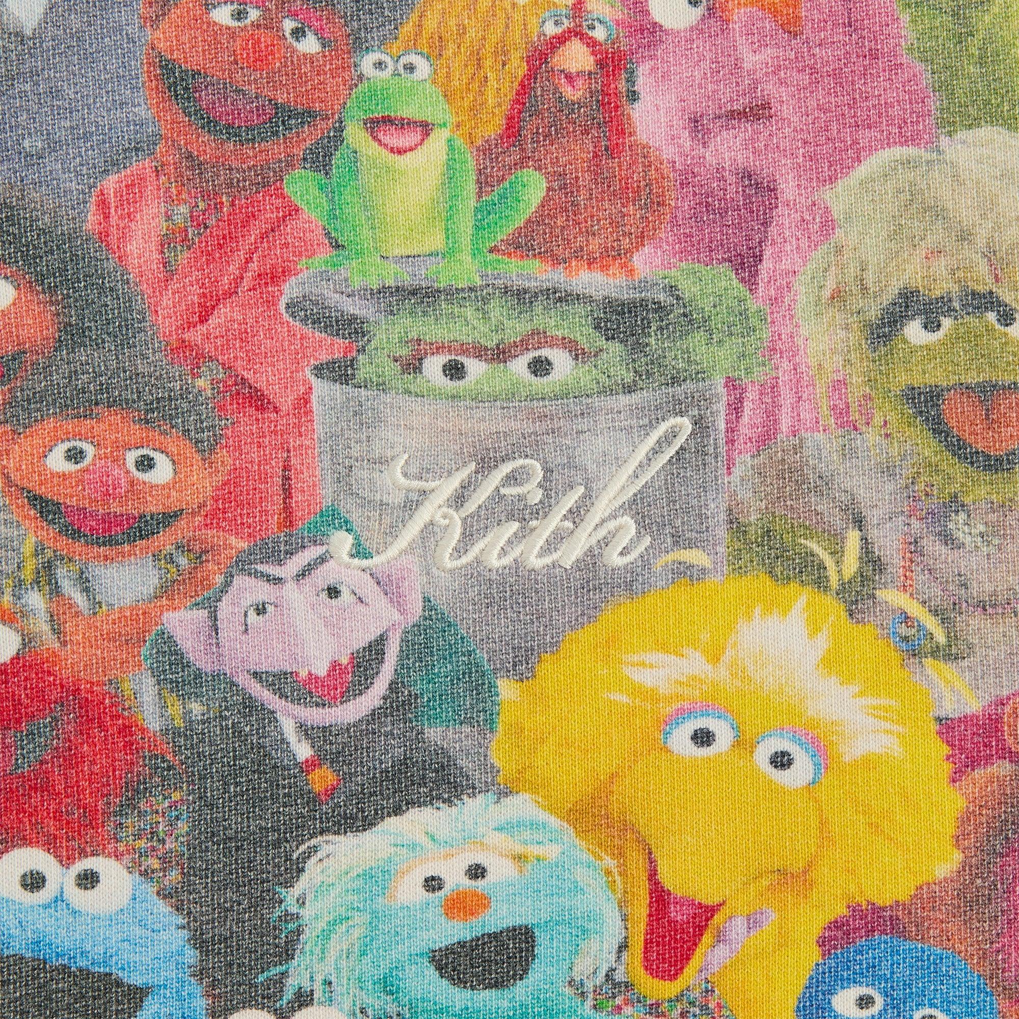 Kith for Sesame Street Family Williams III Hoodie - Multi Male Product Image
