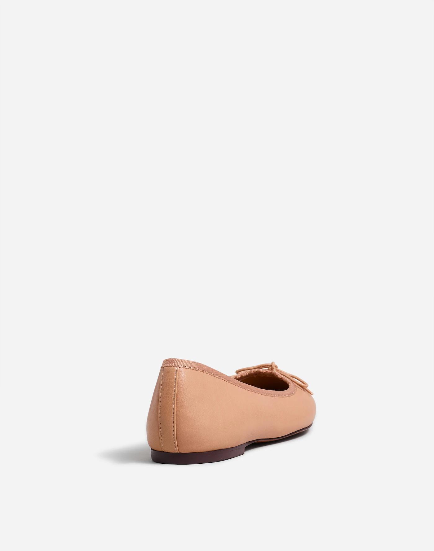The Anelise Ballet Flat Product Image
