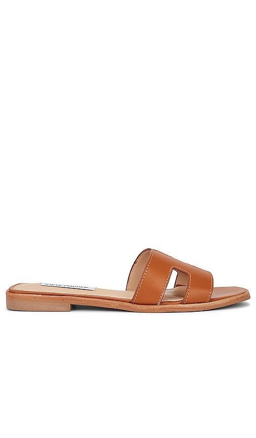 Steve Madden Hadyn Leather Flat Slide Sandals Product Image
