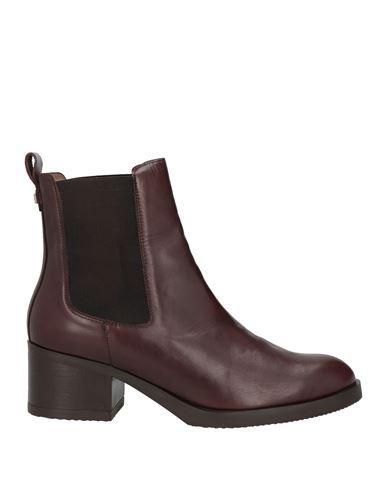 WONDERS Woman Ankle Boots Chocolate Brown Size 10 Leather Product Image