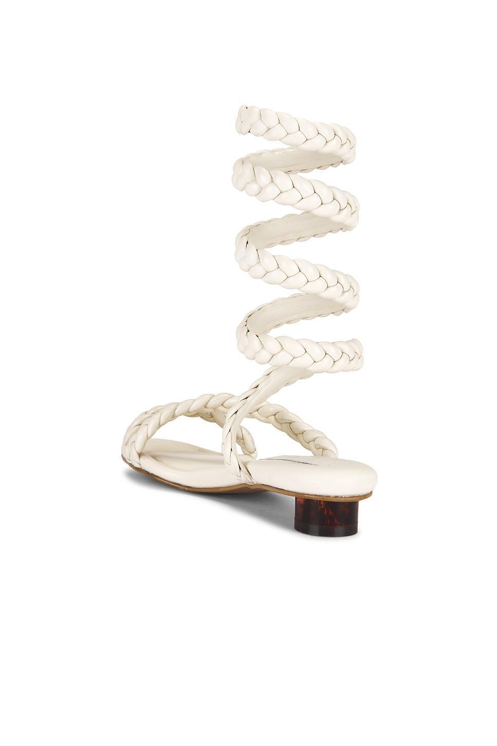 Roma Trenza Sandal Nora Lozza Product Image