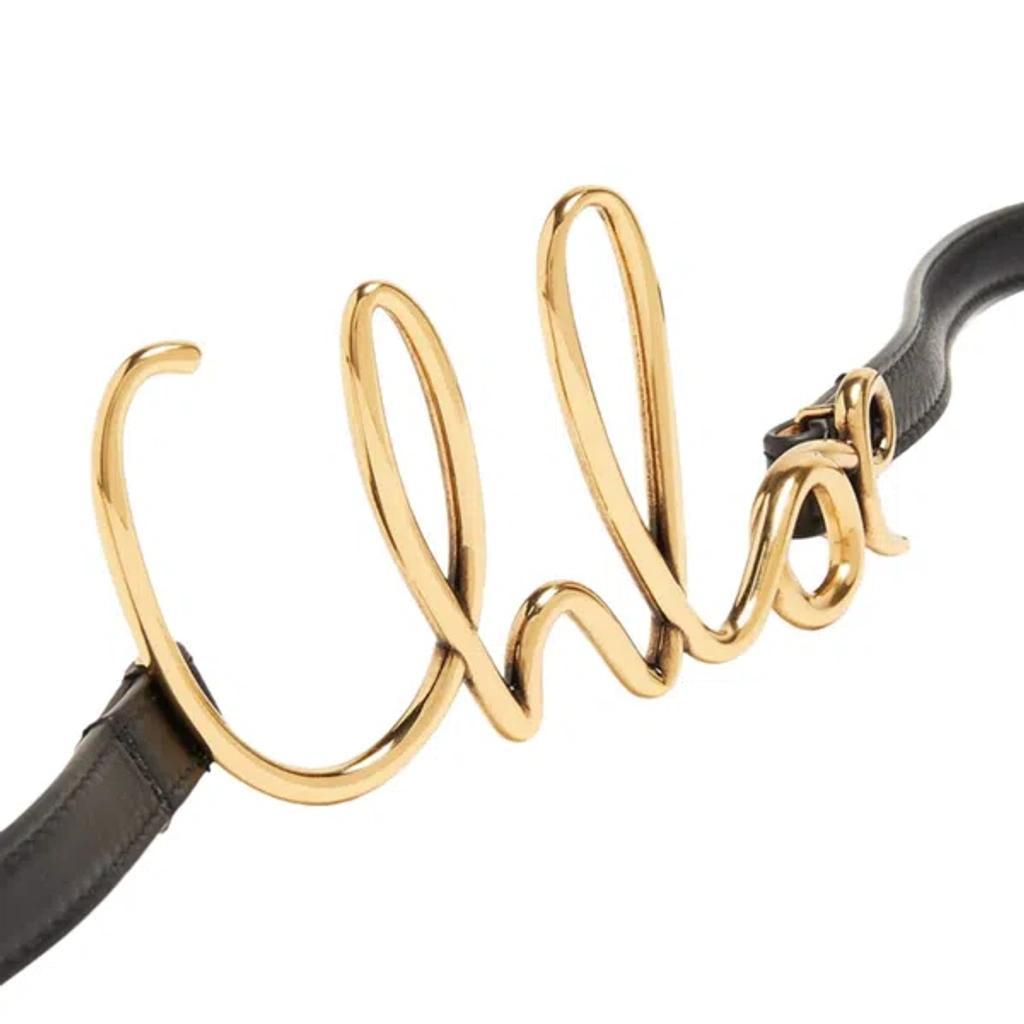 CHLOÉ Iconic Leather Belt Gold-tone Hardware In Black Product Image