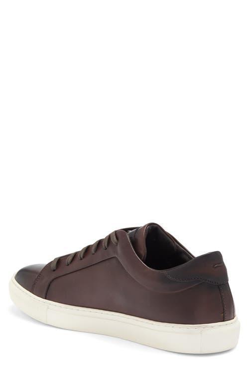 TO BOOT NEW YORK Pullman Sneaker In Brown Product Image