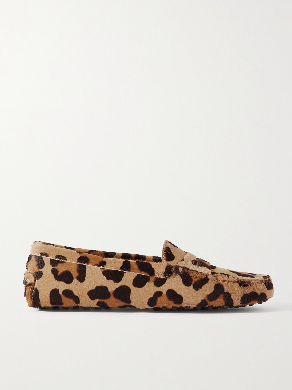 TOD'S Gommini Leopard-print Calf Hair Loafers In Marrone Product Image
