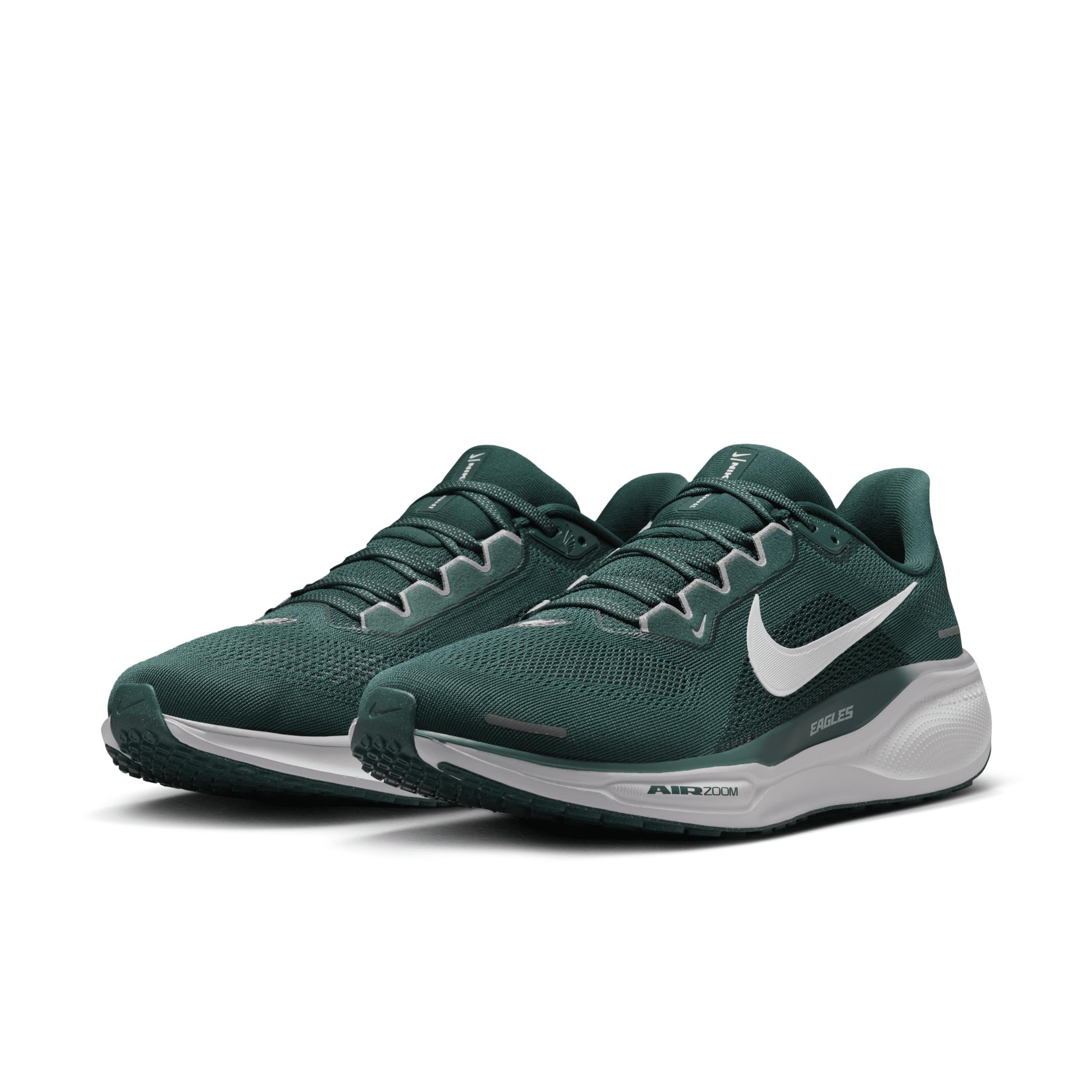 Nike Men's Pegasus EasyOn Road Running Shoes Product Image