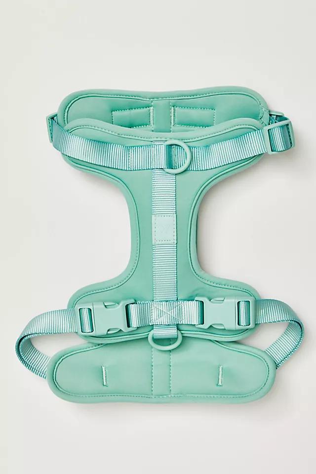 Wild One Pet Harness Product Image