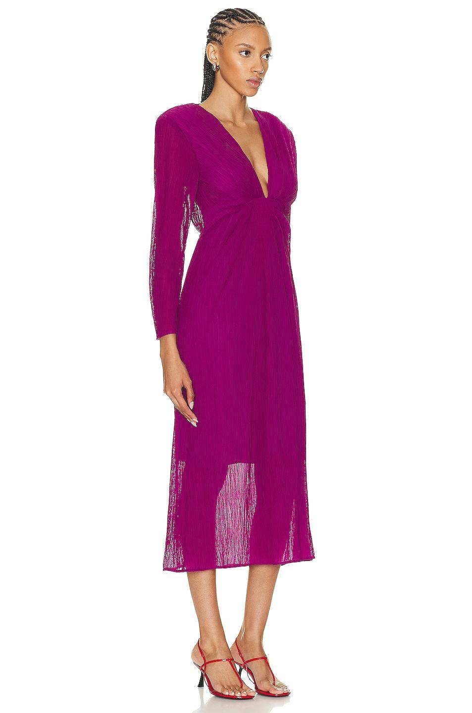 IRO Alofi Dress in Wine Product Image