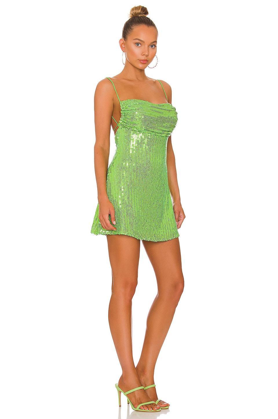 Jessenia Mini Dress Product Image