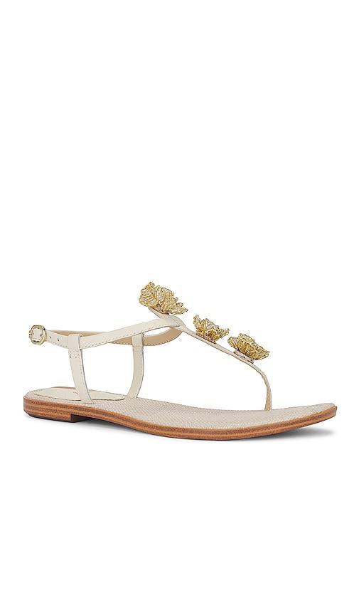 Gigi Flora Sandal Sam Edelman Product Image