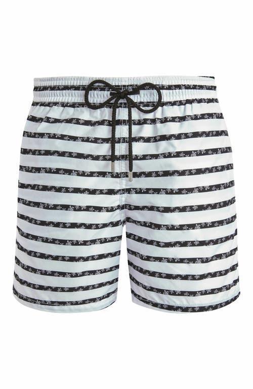Mens Striped Turtle Swim Shorts Product Image