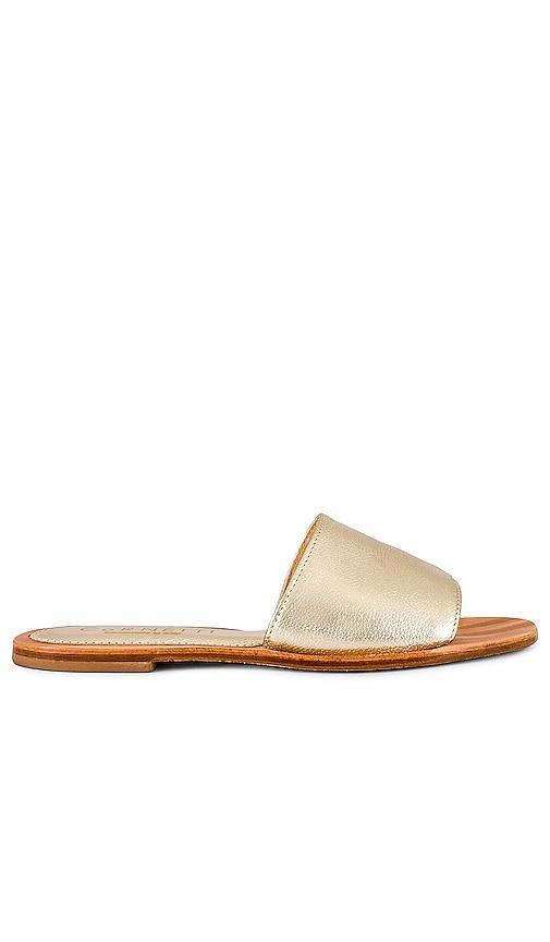 Cossi Sandal Product Image
