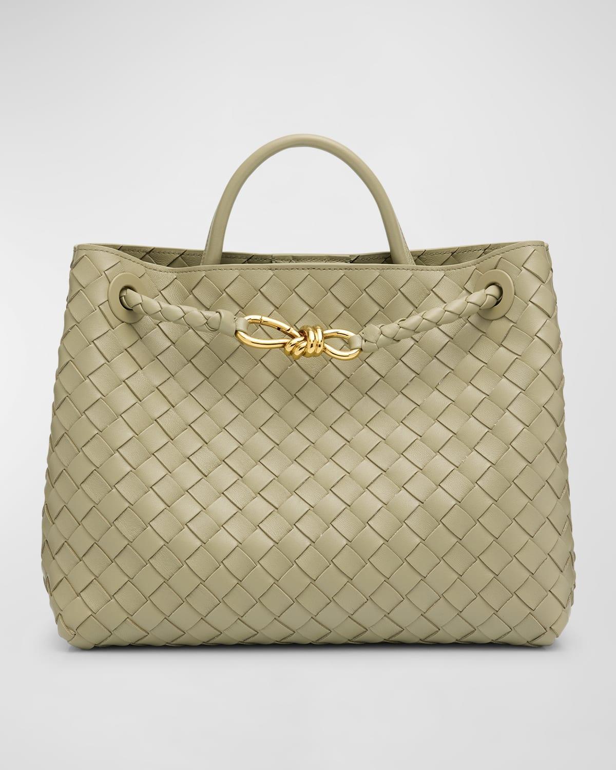 Medium Andiamo Bag Product Image