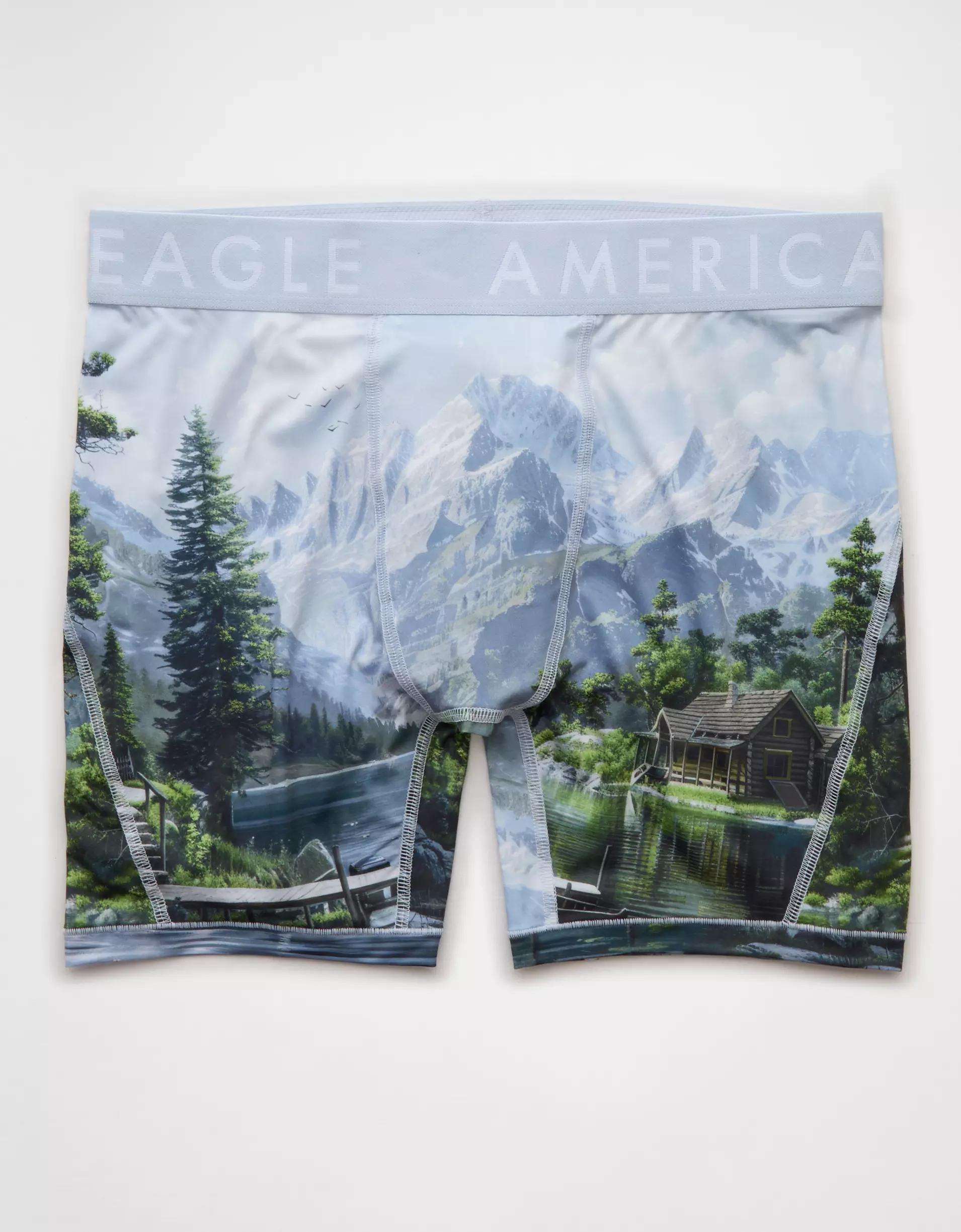 AEO Men's Lake 6" Flex Boxer Brief Product Image