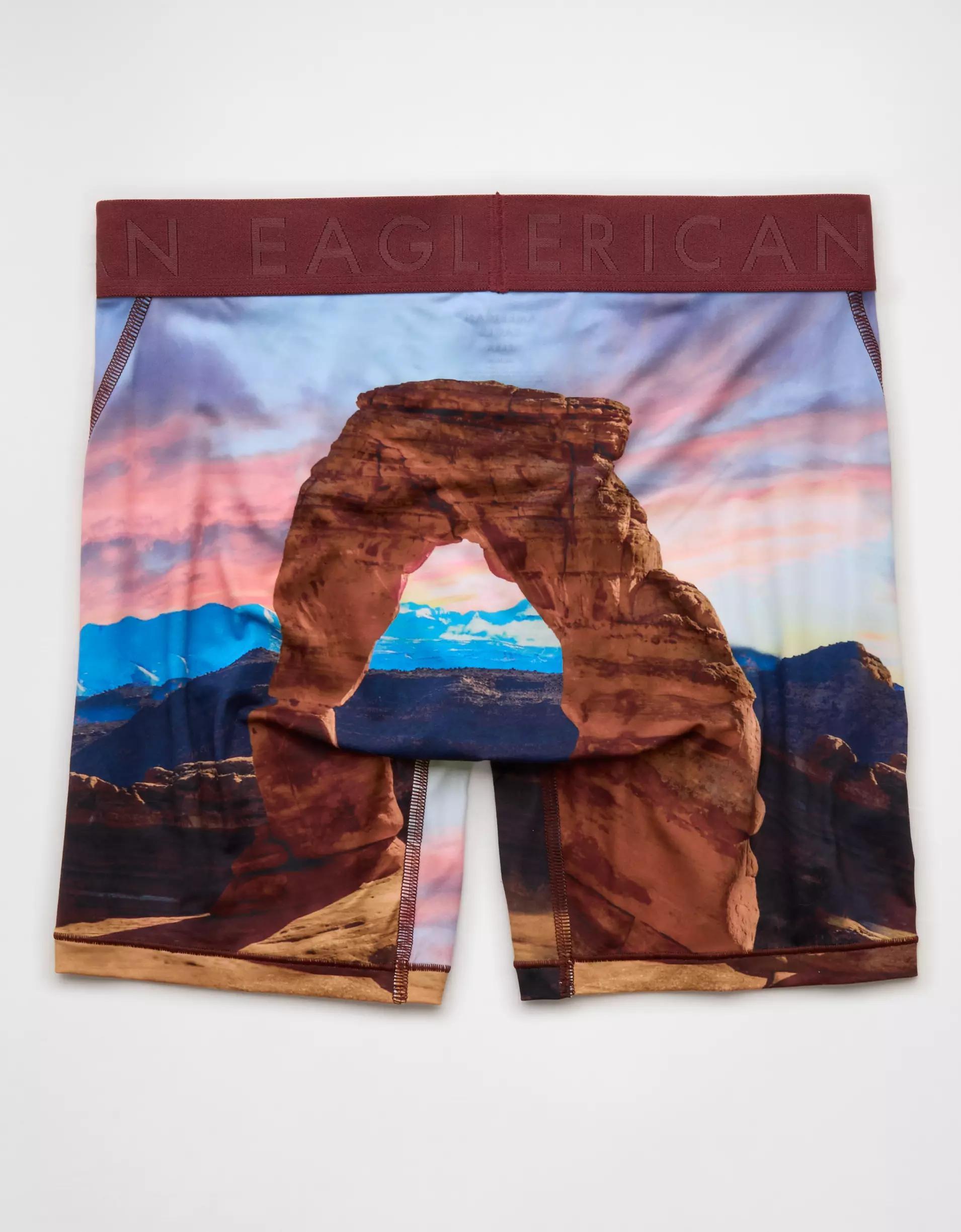 AEO Men's Lake 6" Flex Boxer Brief Product Image