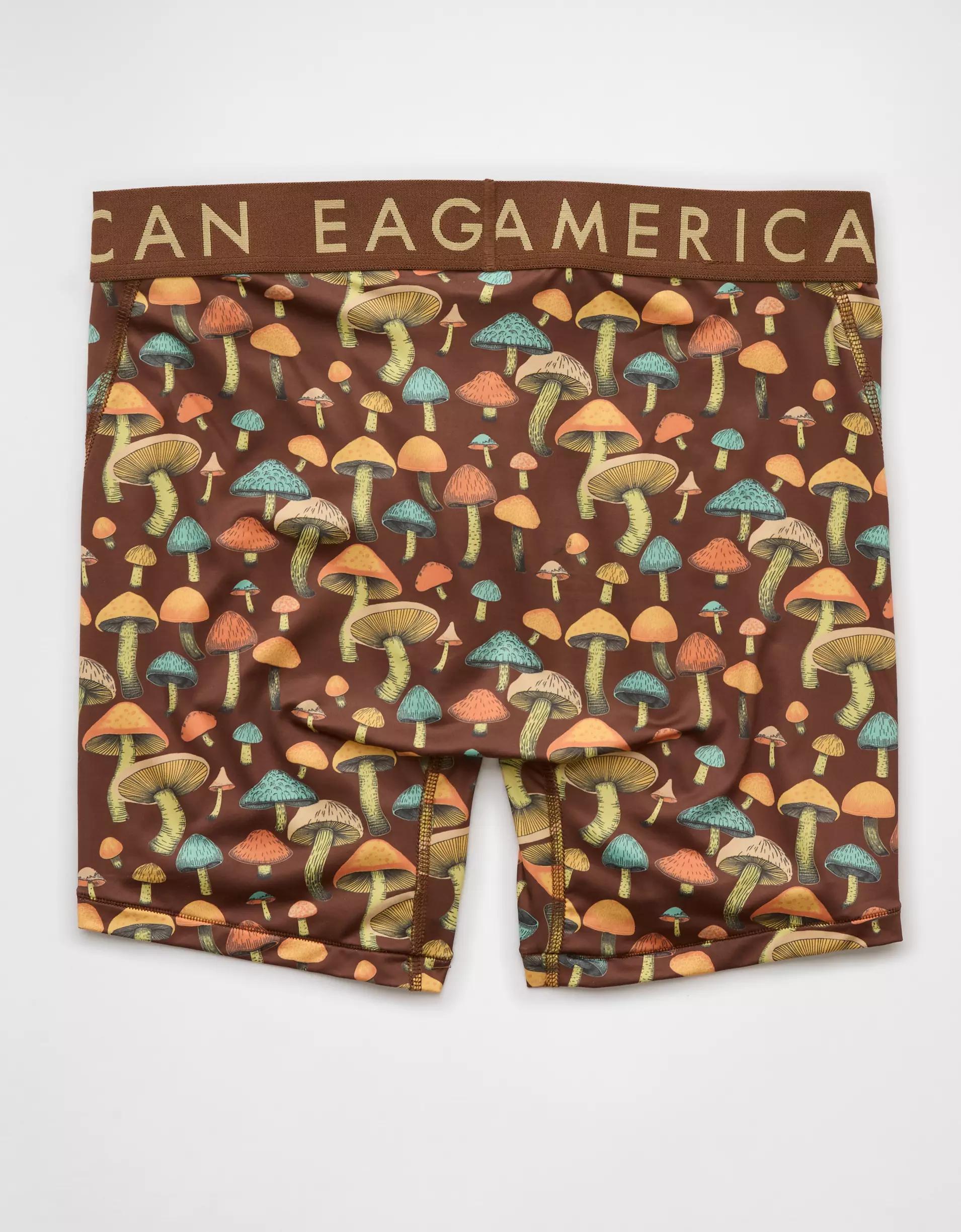 AEO Men's Money 6" Flex Boxer Brief Product Image