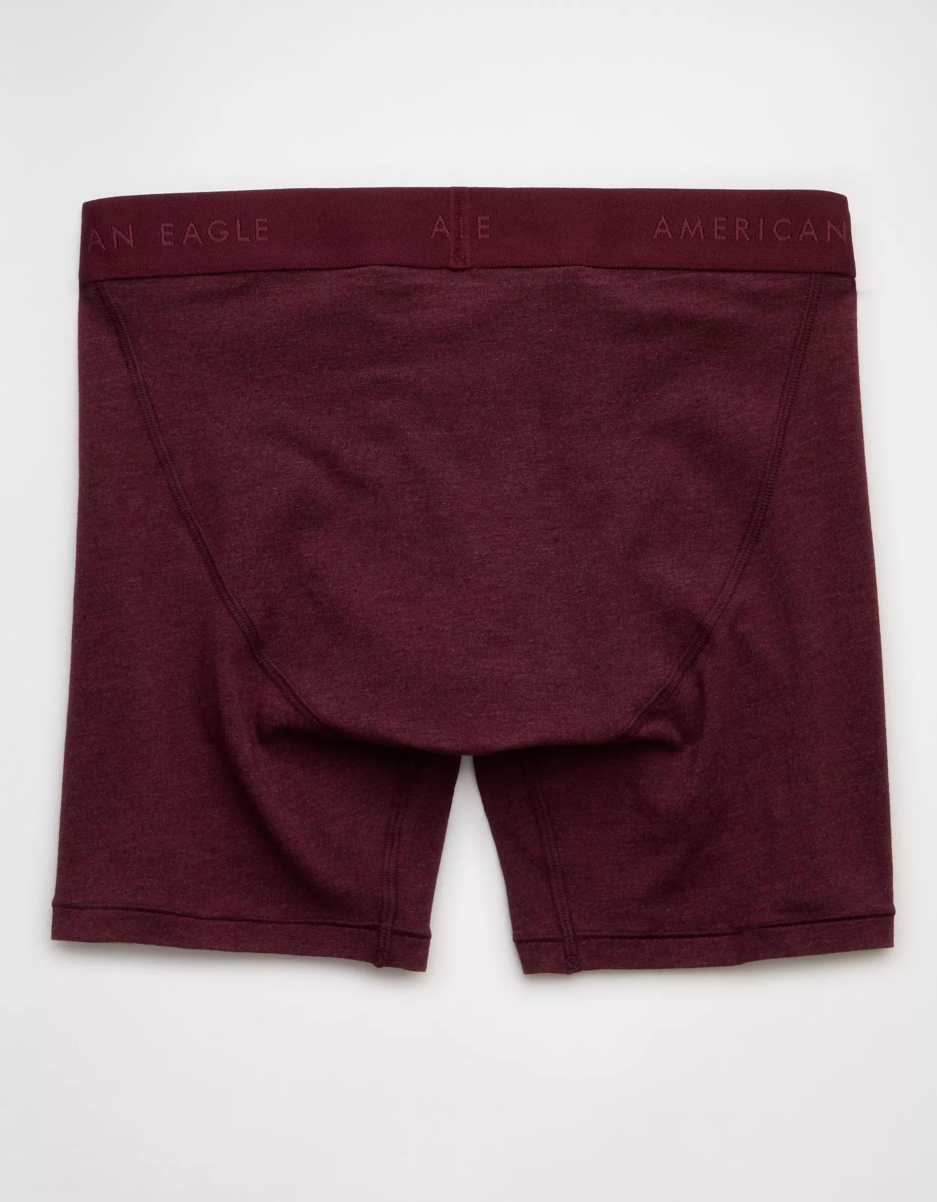 AEO Men's 6" Classic Boxer Brief Product Image